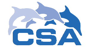 CSA